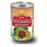 Young Jackfruit In BBQ Sauce