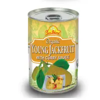 Young Jackfruit In Curry Sauce