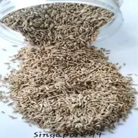 Cumin Seeds