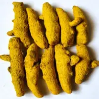 Turmeric Finger