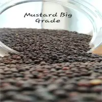 Mustard Seed