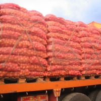 Red Onion