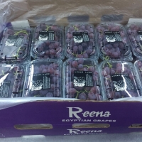 GRAPES