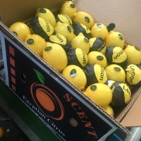 Lemon