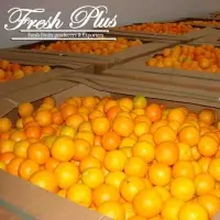 Valencia Orange