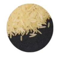 Pusa 1401 Basmati Rice