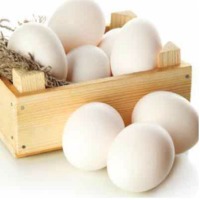 Fresh Chicken Eggs and Egg Products