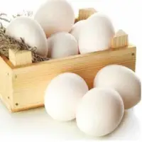 Fresh Chicken Eggs and Egg Products