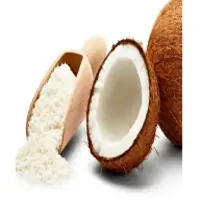 Desiccated Coconut Powder