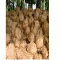 Semi Husked Coconut