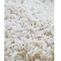 Raw White Rice