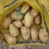 Fresh Potatoes