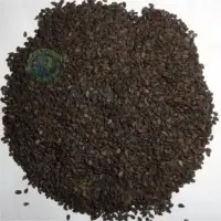 Sesame Seeds