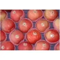 Fuji apple