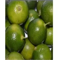 Calamansi