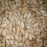 Kalabasa Squash seeds