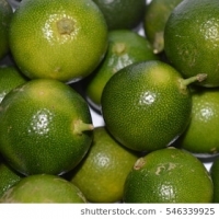 Calamansi