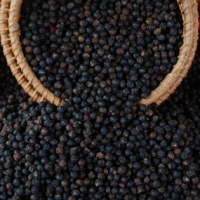 Black Pepper