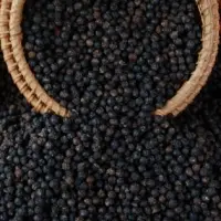 Black Pepper