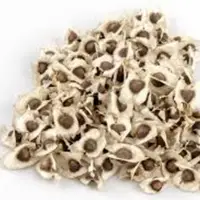 Moringa Oleifera Seeds