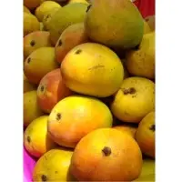 Alphanso Mango Pulp