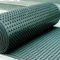 Dolphin Comfort Rolls