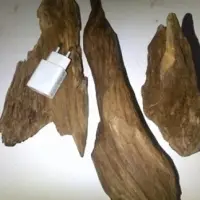 Oud Or Agar Wood