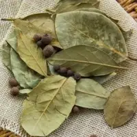 Dried Leaves