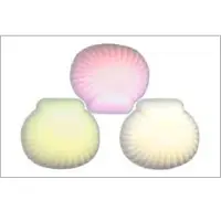 Soap Fragrance