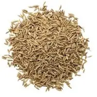 Cumin Seeds