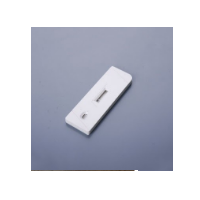 Covid Test Kit
