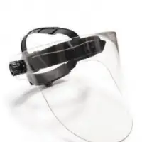 Face Shield