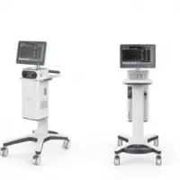 Ventilator