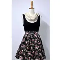 Ladies dress