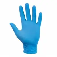 Vinyl Gloves Powder Free Or Powdered