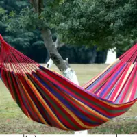 Hammock