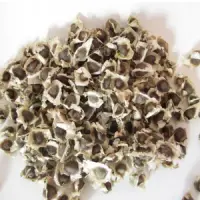 Dried Organic Moringa Seeds
