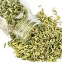 Fennel Seeds