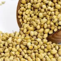 Coriander Seeds