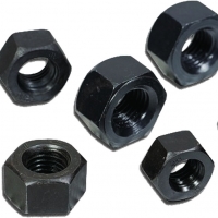 Hex Nut