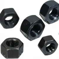 Hex Nut