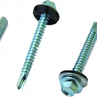 Self Drilling Screw