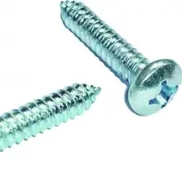 Self Tapping Screw