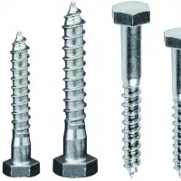 Hex Wood Screw DIN571