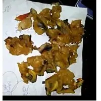 Dried Meat Conch