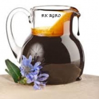 Chicory Extract