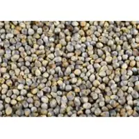 Pearl Millets