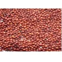 Finger Millets