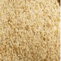 Littlie Millet