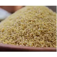 Proso Millet